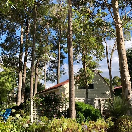 شقة Margaret River  في The Boulevard Garden Studio المظهر الخارجي الصورة