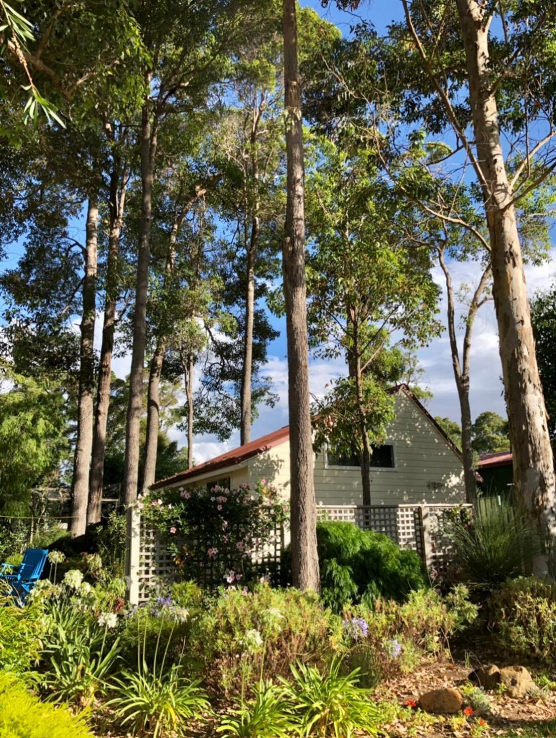 شقة Margaret River  في The Boulevard Garden Studio المظهر الخارجي الصورة